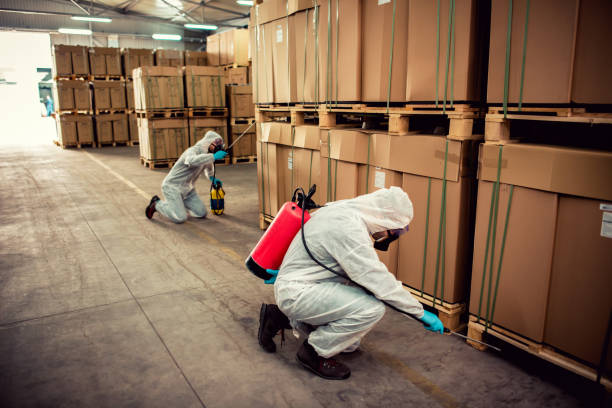 Best Pest Control for Homes  in Stratford, OK