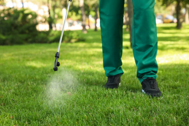 Best Emergency Pest Control  in Stratford, OK
