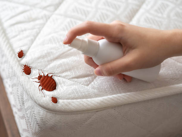 Best Pest Inspection Near Me  in Stratford, OK