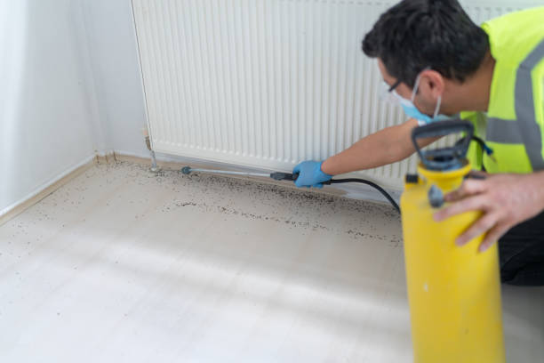 Best Affordable Pest Control Services  in Stratford, OK