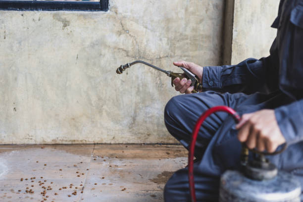 Best Mosquito Control Services  in Stratford, OK