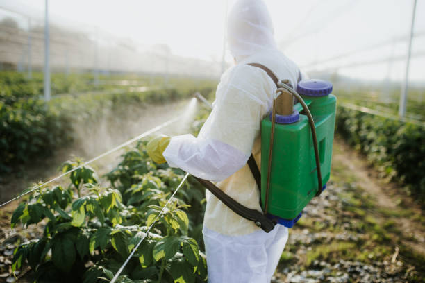 Best Wildlife Control Services  in Stratford, OK